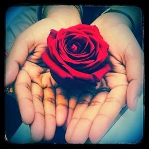 Meet your Posher, Fazia